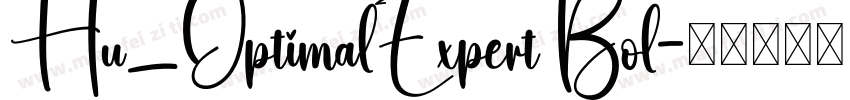 Hu_OptimalExpert Bol字体转换